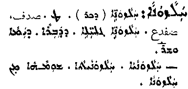 Audo_01_341_01.pdf