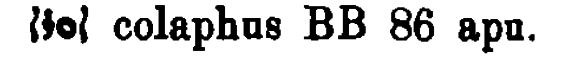 Brockelmann_1_009_80.png