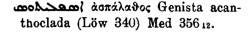 Brockelmann_1_036_90.png