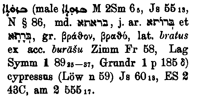 Brockelmann_1_098_080.png