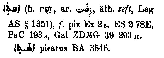 Brockelmann_1_203_080.png