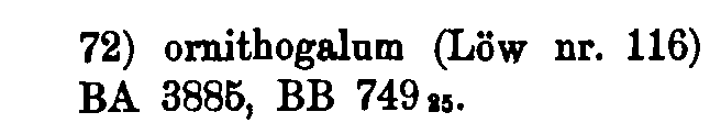 Brockelmann_1_232_010_B.png