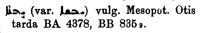 Brockelmann_1_294_030.png