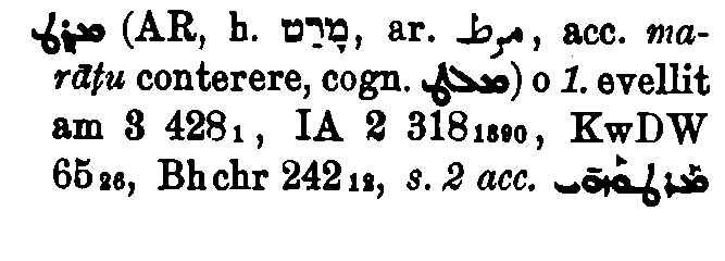 Brockelmann_1_404_060_A.png