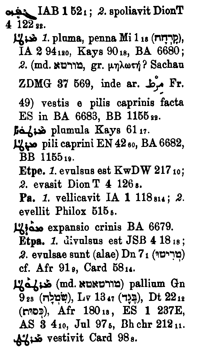 Brockelmann_1_404_060_B.png