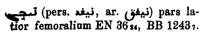 Brockelmann_1_411_010.png