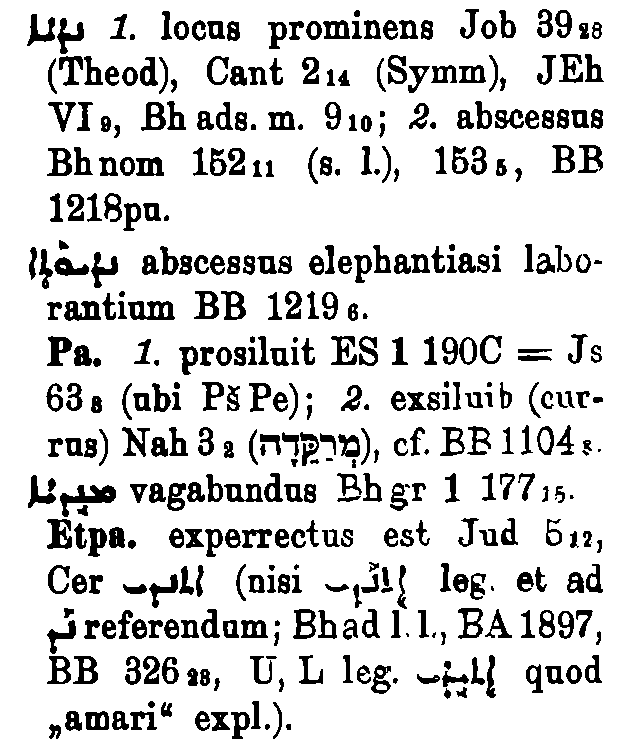 Brockelmann_1_415_030_B.png