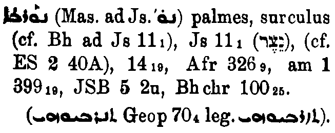 Brockelmann_1_449_020.png