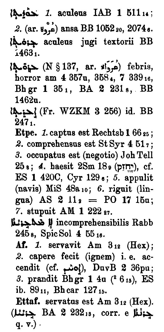 Brockelmann_1_545_040_B.png