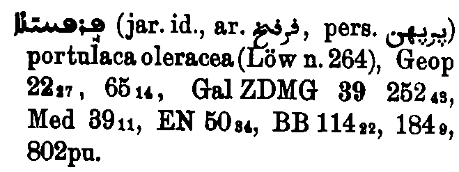 Brockelmann_1_604_030.png