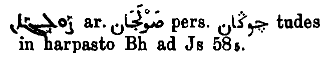 Brockelmann_1_623_110.png