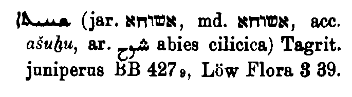 Brockelmann_1_768_080.png
