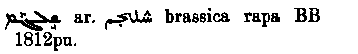 Brockelmann_1_779_040.png