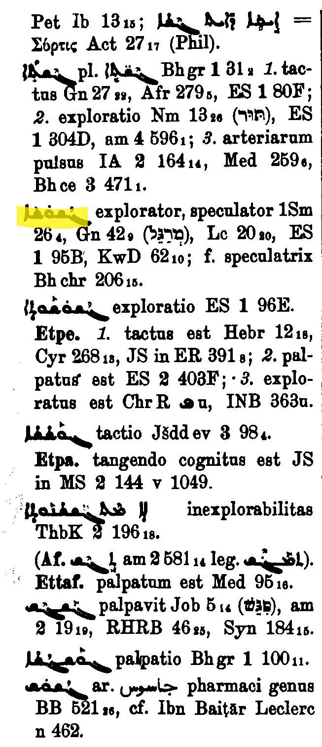 BrockelmannSupplement_1_135_063_B.png