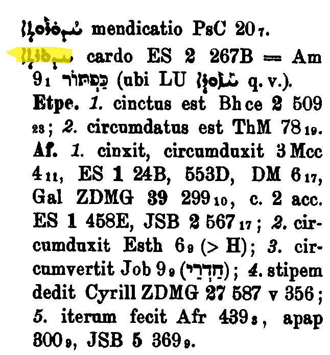BrockelmannSupplement_1_216_086_C.png