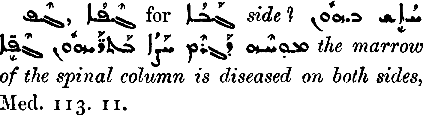 MargoliouthSupplement_1_078_12.png