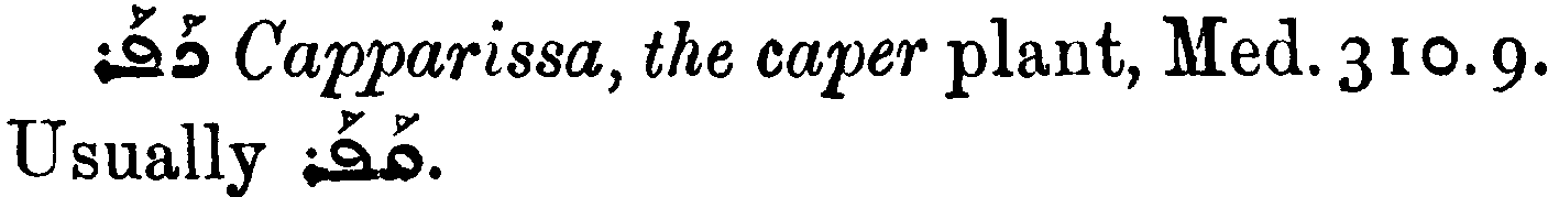 MargoliouthSupplement_1_170_6.png