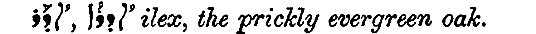 Margoliouth_1_004_5.png