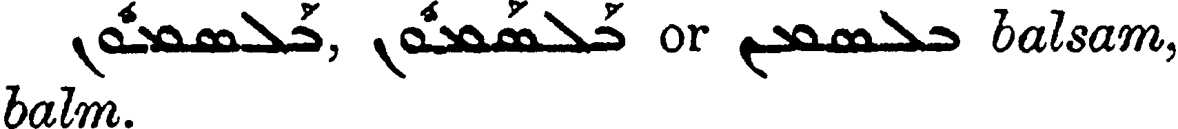 Margoliouth_1_047_13.png