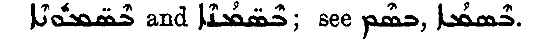 Margoliouth_1_049_5.png