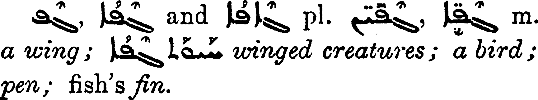 Margoliouth_1_076_13.png