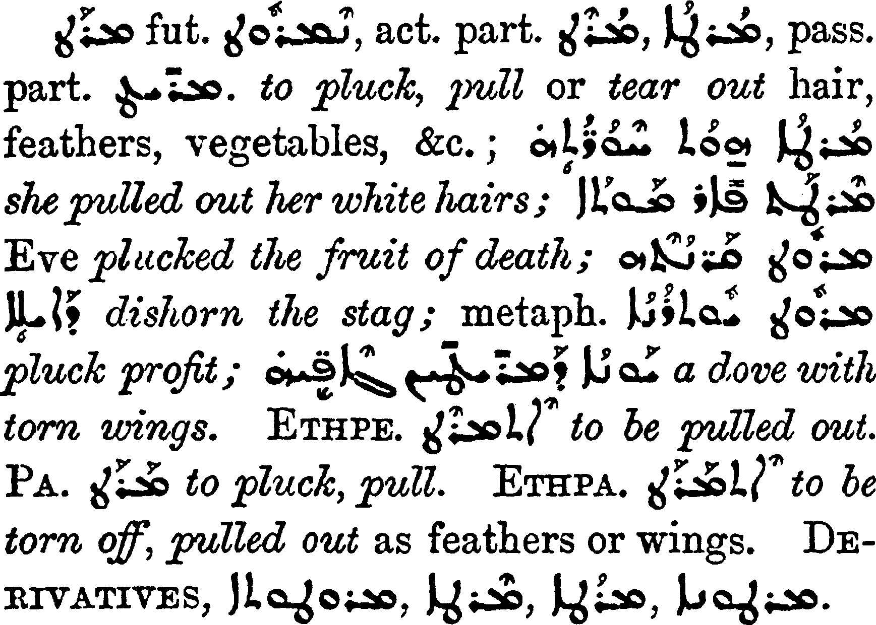 Margoliouth_1_301_8.png