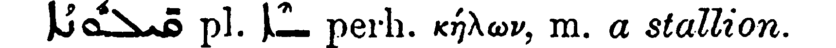 Margoliouth_1_504_4.png