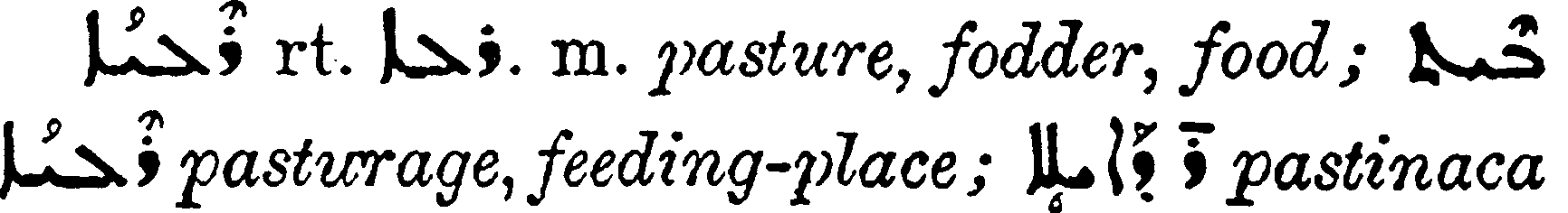 Margoliouth_1_545_17_A.png