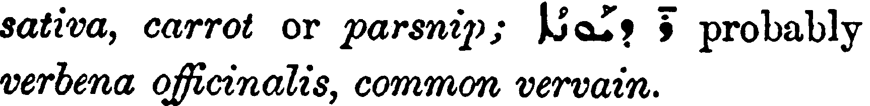 Margoliouth_1_545_17_B.png
