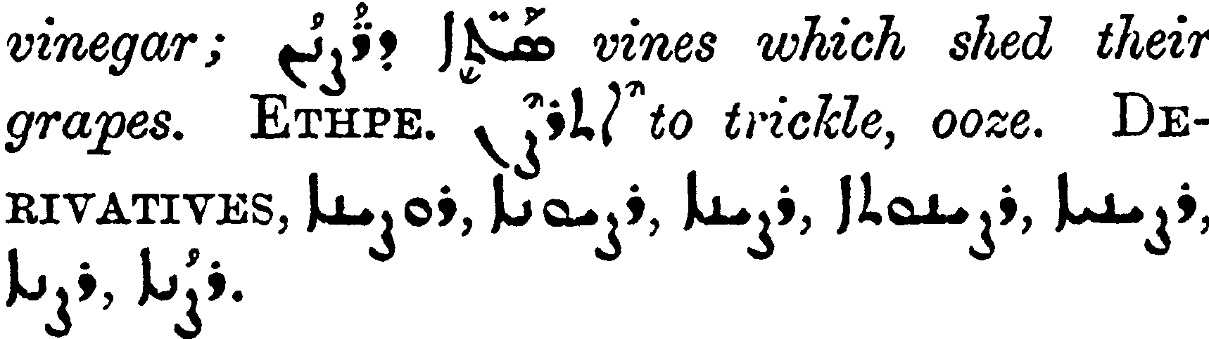 Margoliouth_1_548_28_B.png