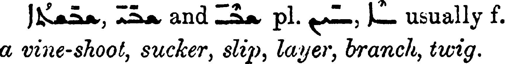 Margoliouth_1_558_1.png
