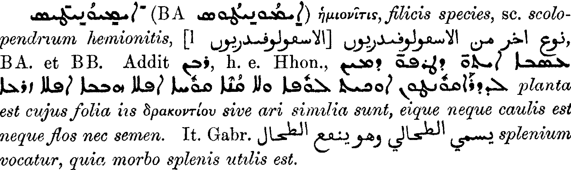Smith_1_078_40.png