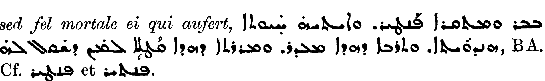 Smith_1_222_39_B.png
