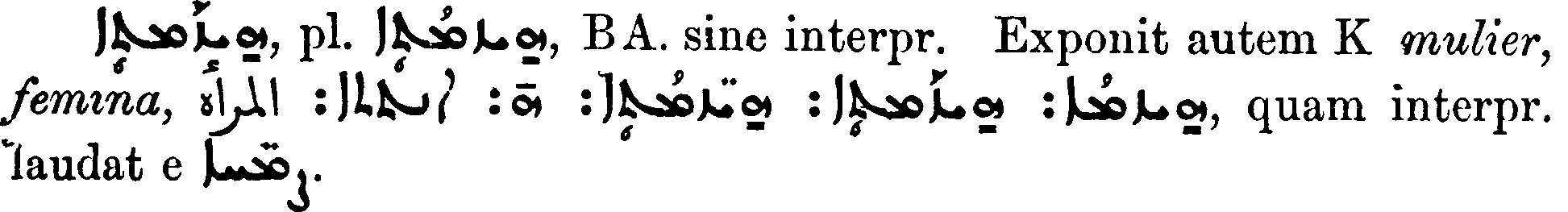 Smith_1_500_7.png